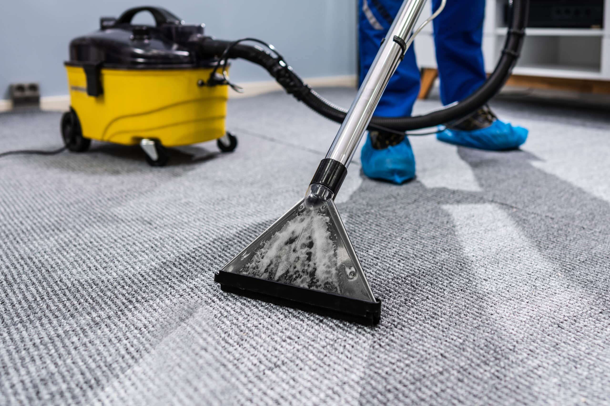 How Often Do You Need a Carpet Cleaning Service?