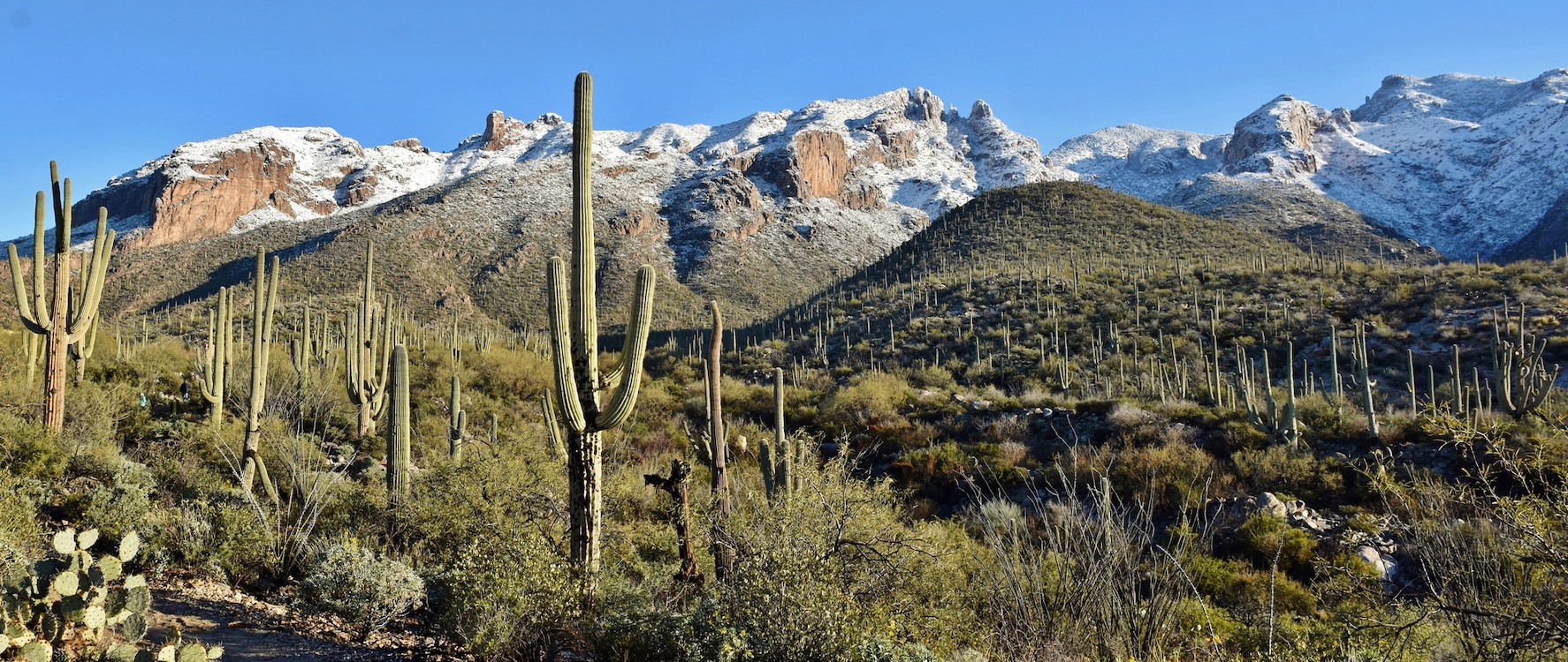 JAN-PRO Cleaning & Disinfecting in Benson, AZ