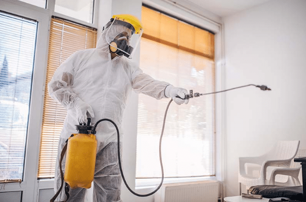 Image of a commercial cleaning professional spraying an office.