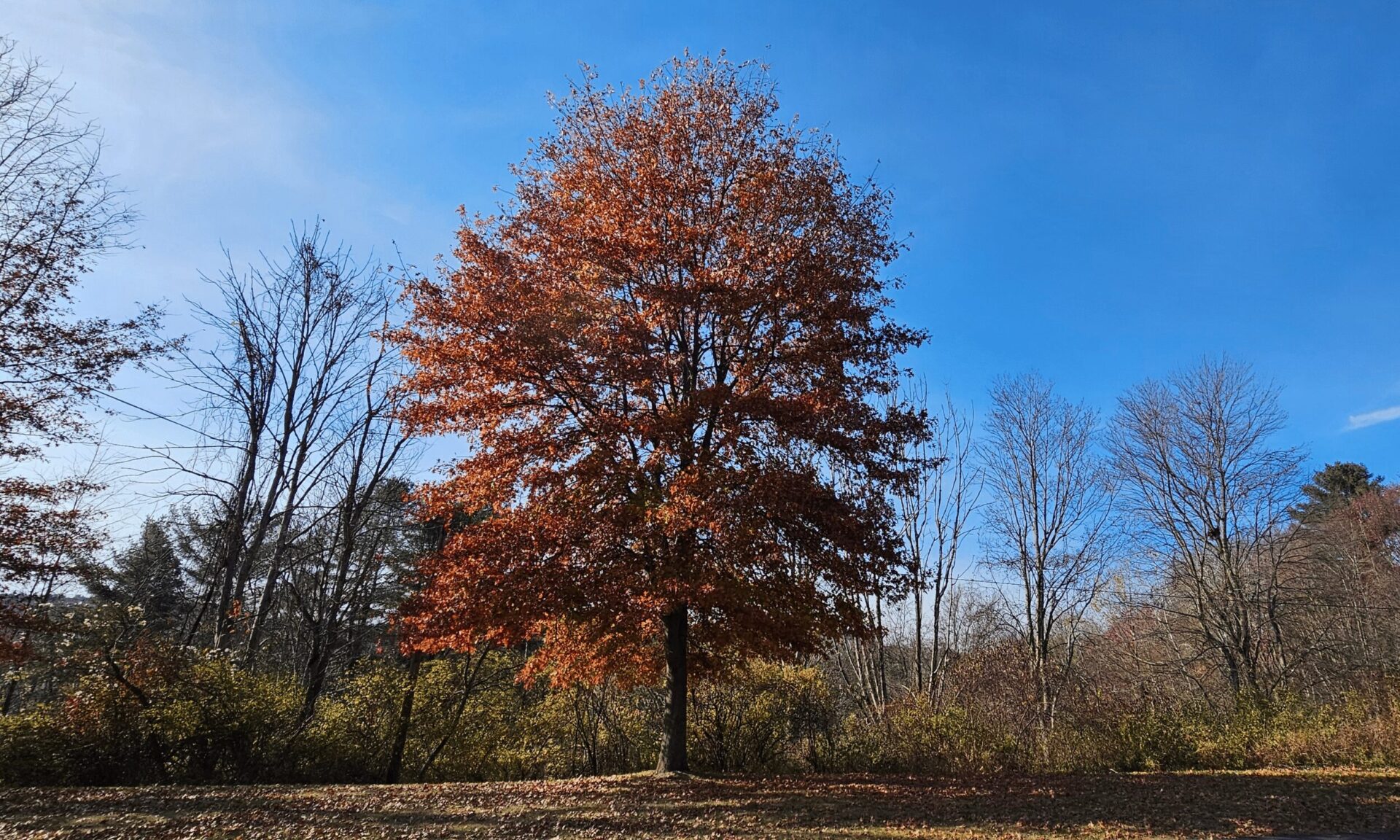 Nanticoke, PA Nanticoke, PA