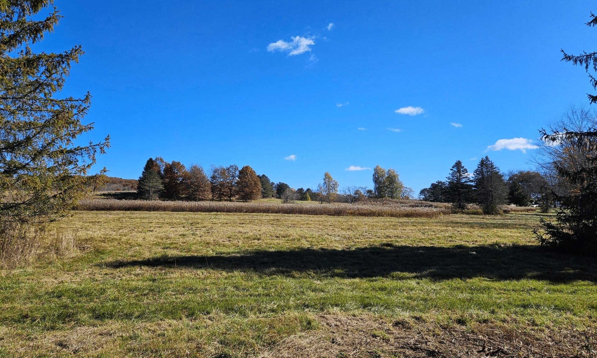 Plains, PA Plains, PA