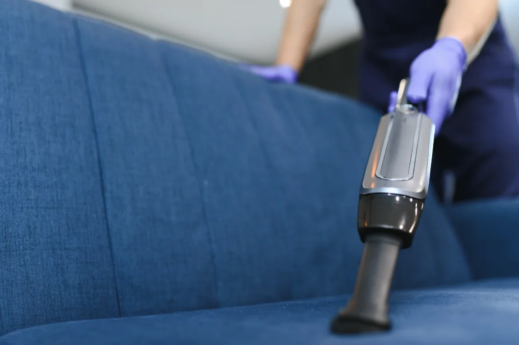 professional upholstery cleaning service