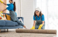 carpet-cleaning-before-new-year carpet cleaning