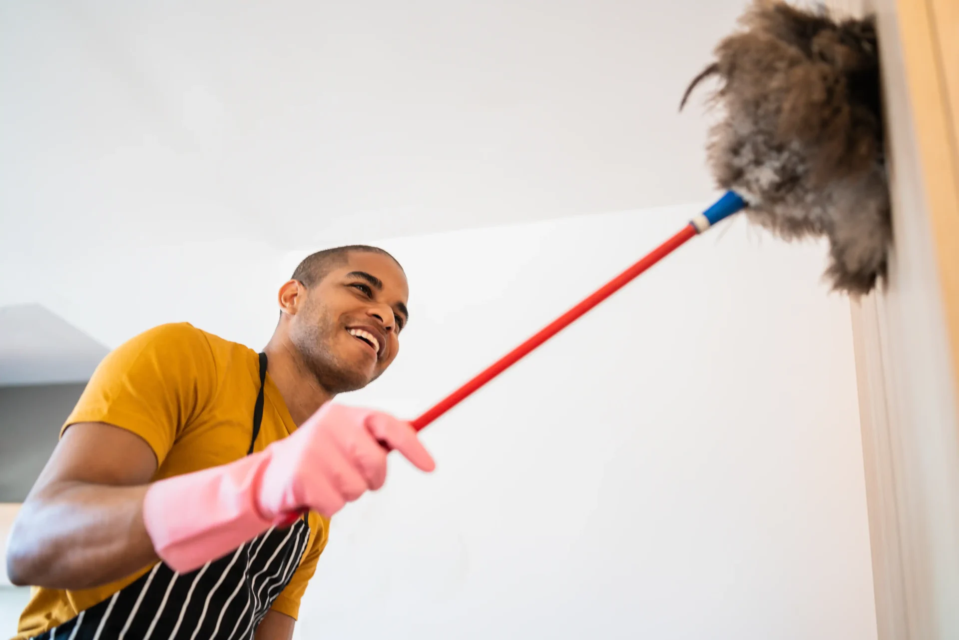 high-dusting-services high dusting services