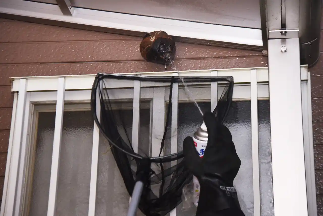 shutterstock_1995295778 Large_desktop