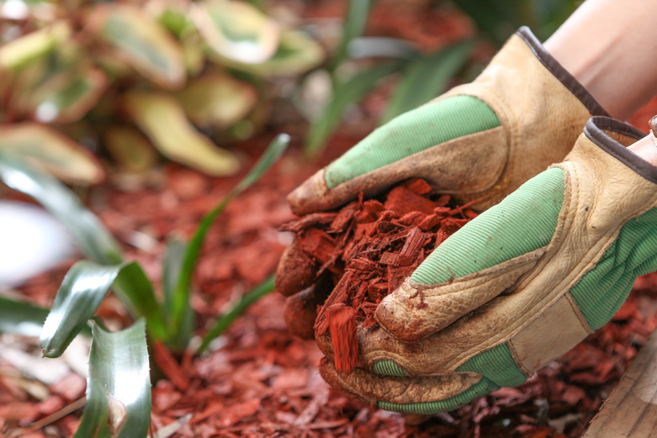 Mulching,The,Garden,With,Red,Cedar,Wood,Chip