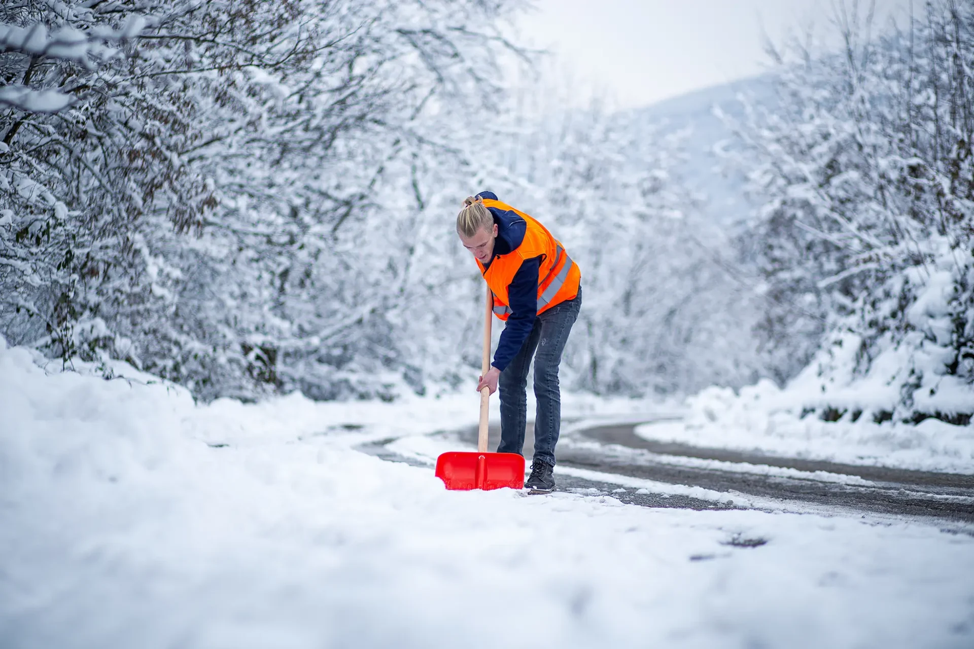 shutterstock_2067030383