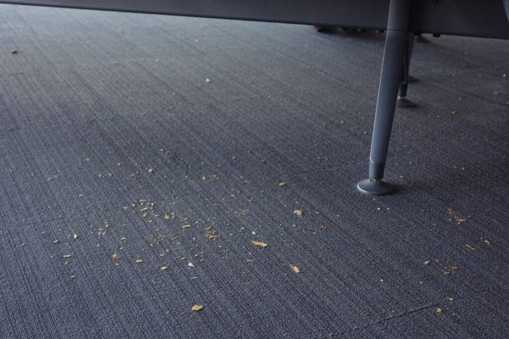 Dust and small debris scattered on a gray carpeted floor beneath furniture